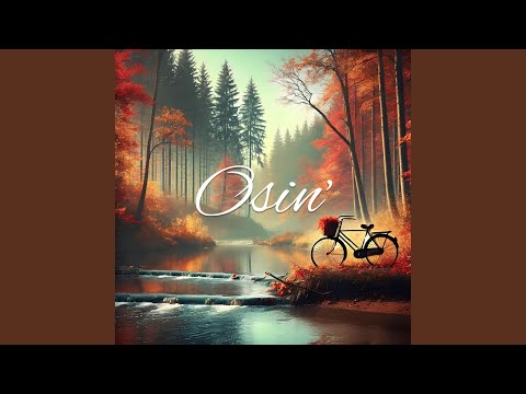 		Osin'cover