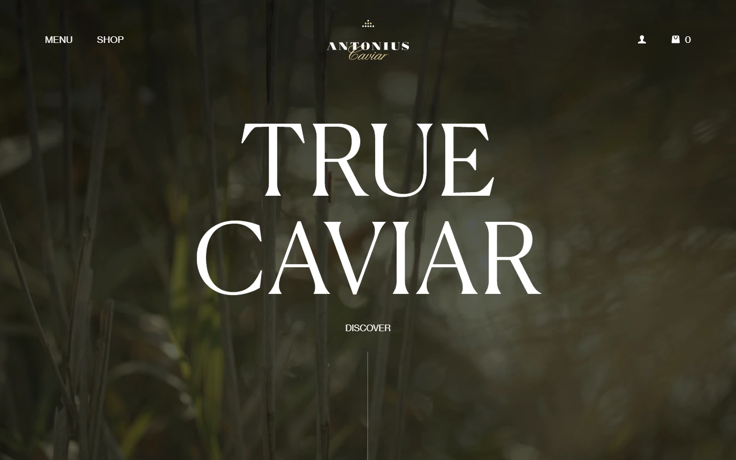 Antonius Caviar USA — Strona główna — widok na komputerze.